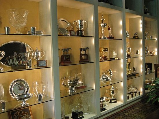 Showcase Your Achievements: Stylish Trophy Display Cabinets for Every Home